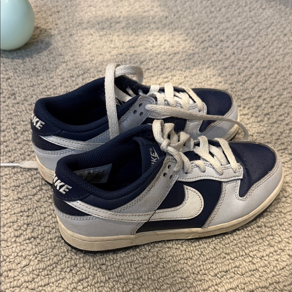 Nike Kids Navy and White Sneakers
